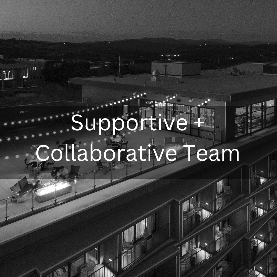 Supportive & Collaborative Team